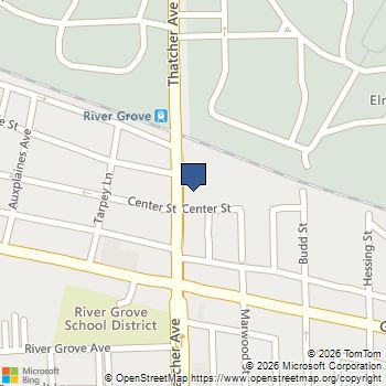 2801 Thatcher Avenue # 303 River Grove, IL MLS# 12605327