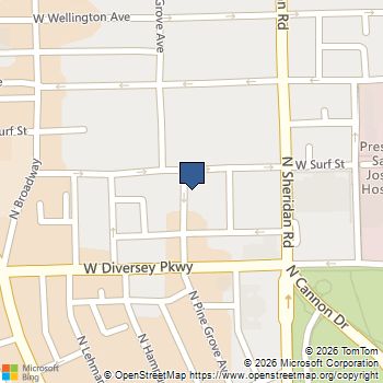 445 W SURF Street # 3E Chicago, IL MLS# 12632300