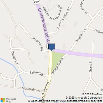 00 Greenwoods Road East Norfolk, CT MLS# 170392753