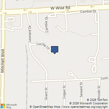 313 Lucille Lane # 313 Schaumburg, IL MLS# 12776038