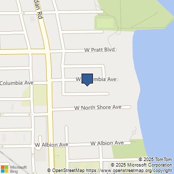 1121 W Columbia Avenue # 2F Chicago, IL MLS# 12534422