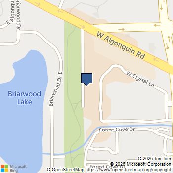 1783 W Algonquin Road # 3A Mount Prospect, IL MLS# 12773909
