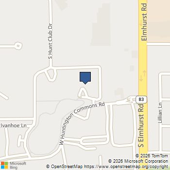 500 W Huntington Commons Road # 449 Mount Prospect, IL MLS# 12545146