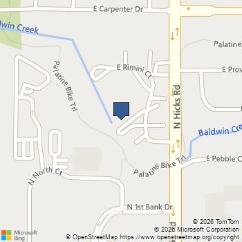 365 Rimini Court # 2 Palatine, IL MLS# 12704999