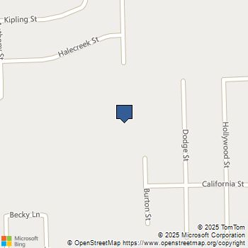 0 Burton Street Romulus, MI MLS# 20251059467