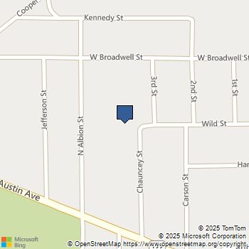 1201 Chauncey Street Albion, MI MLS# 70505789