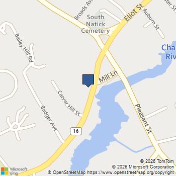 65 Eliot St Natick, MA MLS# 73593083