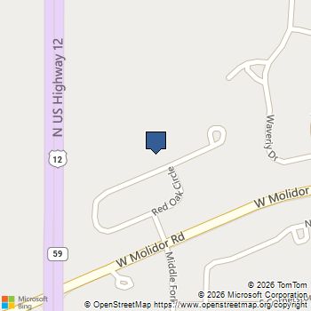 417 Red Oak Circle Volo, IL MLS# 12551318