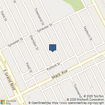 3677 Townsend Street Detroit, MI MLS# 60959996