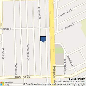 12148 Stoepel Street Detroit, MI MLS# 70512901