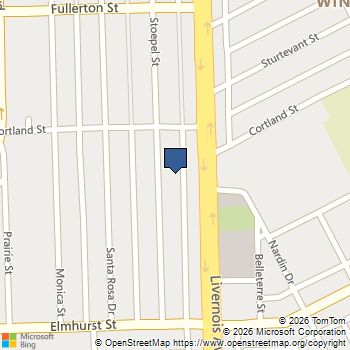 12162 Stoepel Street Detroit, MI MLS# 70538864