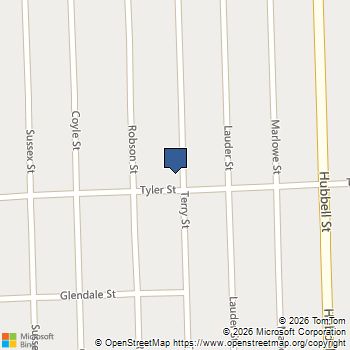 13209 Terry Street Detroit, MI MLS# 60972099