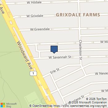 494 W Savannah Street Highland Park, MI MLS# 61008854