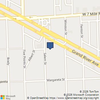 18720 Salem Street Detroit, MI MLS# 61010976