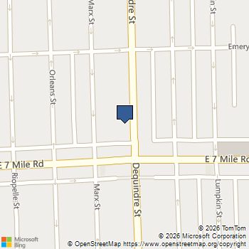 19151 Dequindre Street Detroit, MI MLS# 60975412