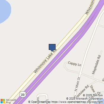 VACANT WHITMORE LAKE Road Northfield Twp, MI MLS# 214036317