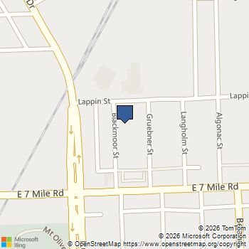 19200 Blackmoor Street Detroit, MI MLS# 50197557