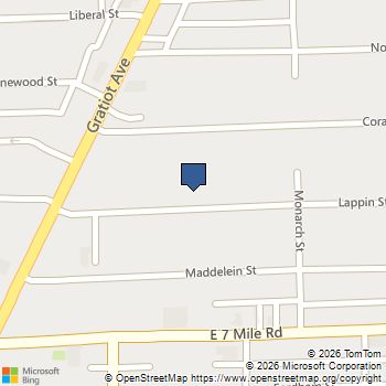 14481 Lappin Street Detroit, MI MLS# 60993344