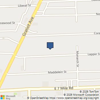 14481 Lappin Street Detroit, MI MLS# 20261035129