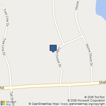 11246 Lake Forest Drive Hamburg Township, MI MLS# 20261071695