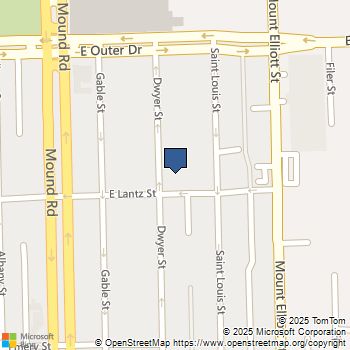 19612 Dwyer Street Detroit, MI MLS# 70509313