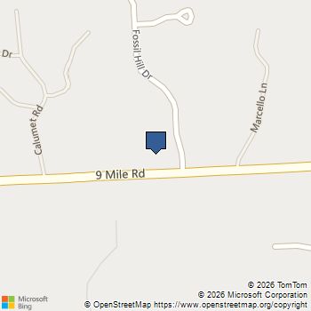 10839 9 Mile Road Green Oak Twp, MI MLS# 20261038321