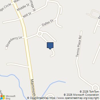 13 Dallas Dr # 305 Dracut, MA MLS# 73469539