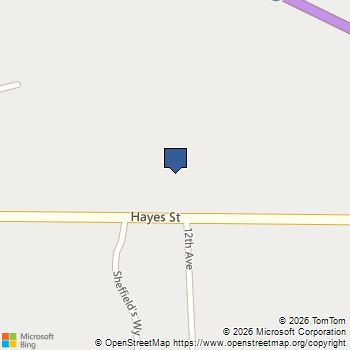 1213 Hayes Street Marne, MI MLS# 70544578
