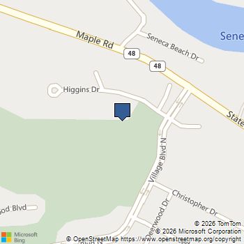 368 Village Boulevard N Van Buren, NY MLS# S1700997