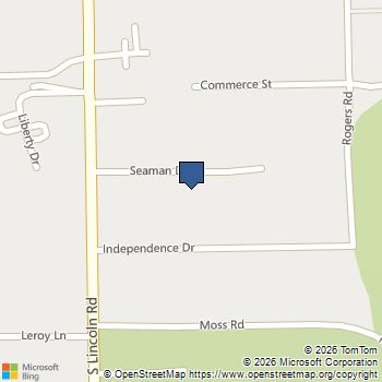 3223 Seaman Road Mount Pleasant, MI MLS# 80074914