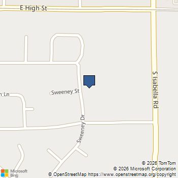 1013 Sweeney Street Mount Pleasant, MI MLS# 80072903
