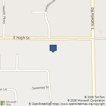 1667 E Gaylord Street Mount Pleasant, MI MLS# 80066045