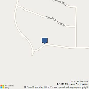 6850 Big Wood Way Star, ID MLS# 98972799