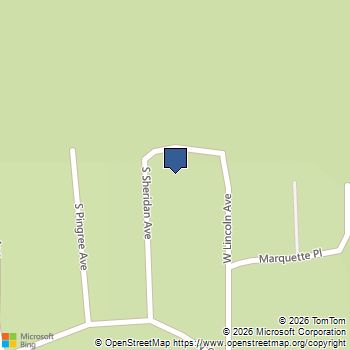 1383 W Palmer Avenue Baldwin, MI MLS# 70565022