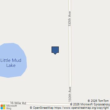 16121 N 130th Avenue Leroy, MI MLS# 80074901