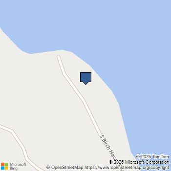 1264 Birchaven Beach Lake City, MI MLS# 80067197