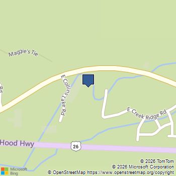 31206 E COLLINS LAKE RD # 25 Government Camp, OR MLS# 745229426
